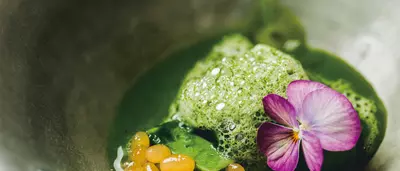 Restaurants_Singular