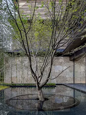 garrya spaces for contemplation