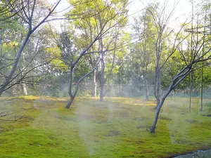 garrya nijo castle kyoto landscape view