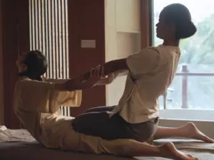 Wellness Journey